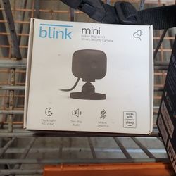Blink Mini Camera 
