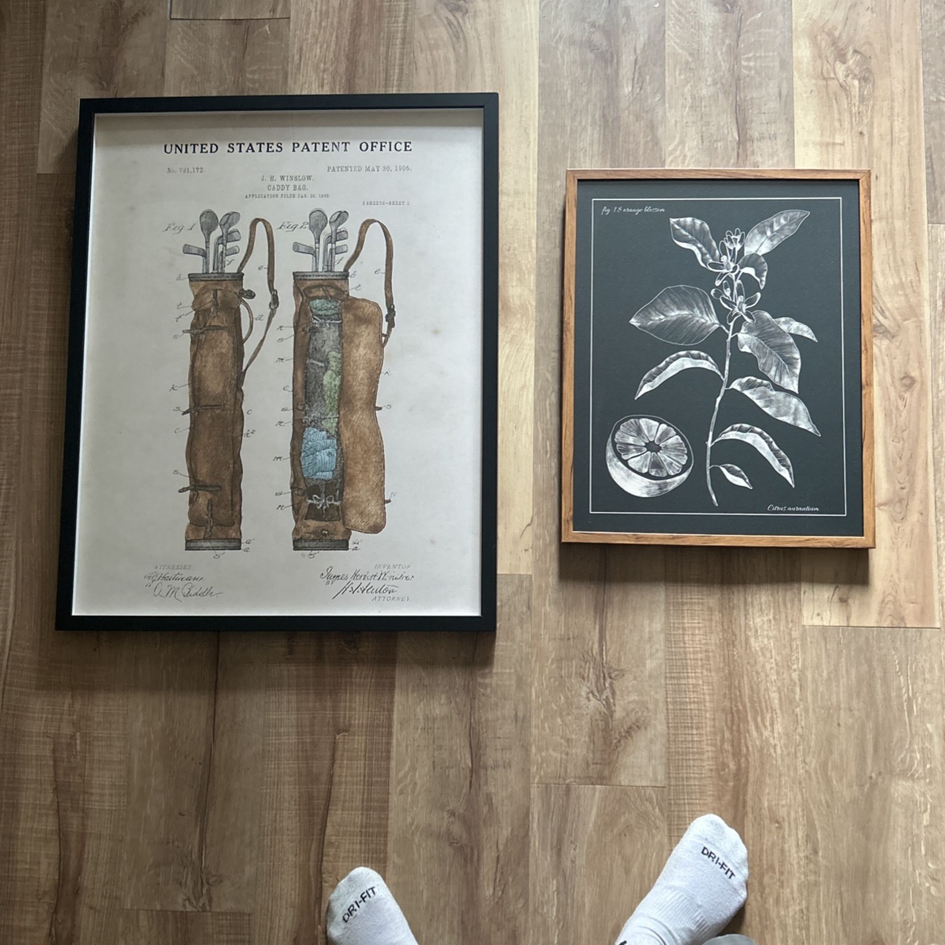 Pictures