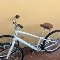 Adult Bike