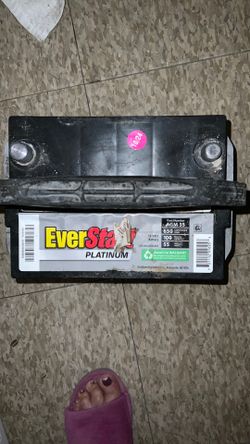 Everstart Battery Premium