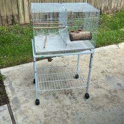 Bird Cage 