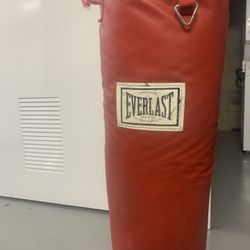 Everlast Punching Bag