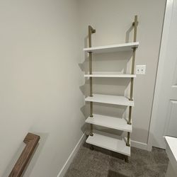 White Bookshelf/Gold Frame