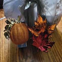 Wallflower Plugs Only 2 Left 