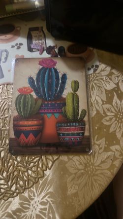 cactus adorned pots Vibrant colors wood with pink Blosoms