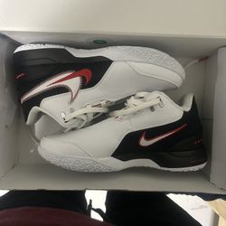 Lebrons Remake First Game Shoes