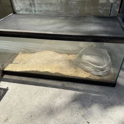20 Gallon Long Reptile Tank/fish Aquarium