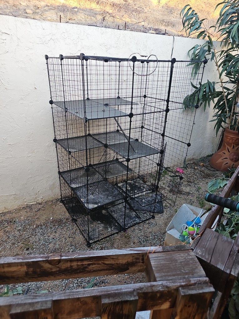 Cat Cage
