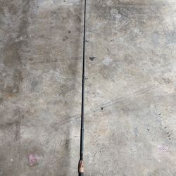 Ugly Stick Pole With A Reel