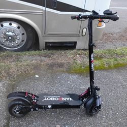 Nanobot D4 2.0 Electric Scooter 