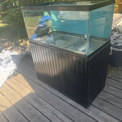 Aquarium/Tararium
