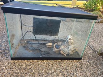 Hermit Crab tank with heater and accessories