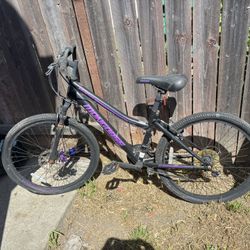 Huffy Girls Purple Bike 