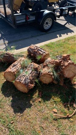 Free firewood in covina