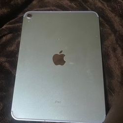 Blue iPad 10 Generation 