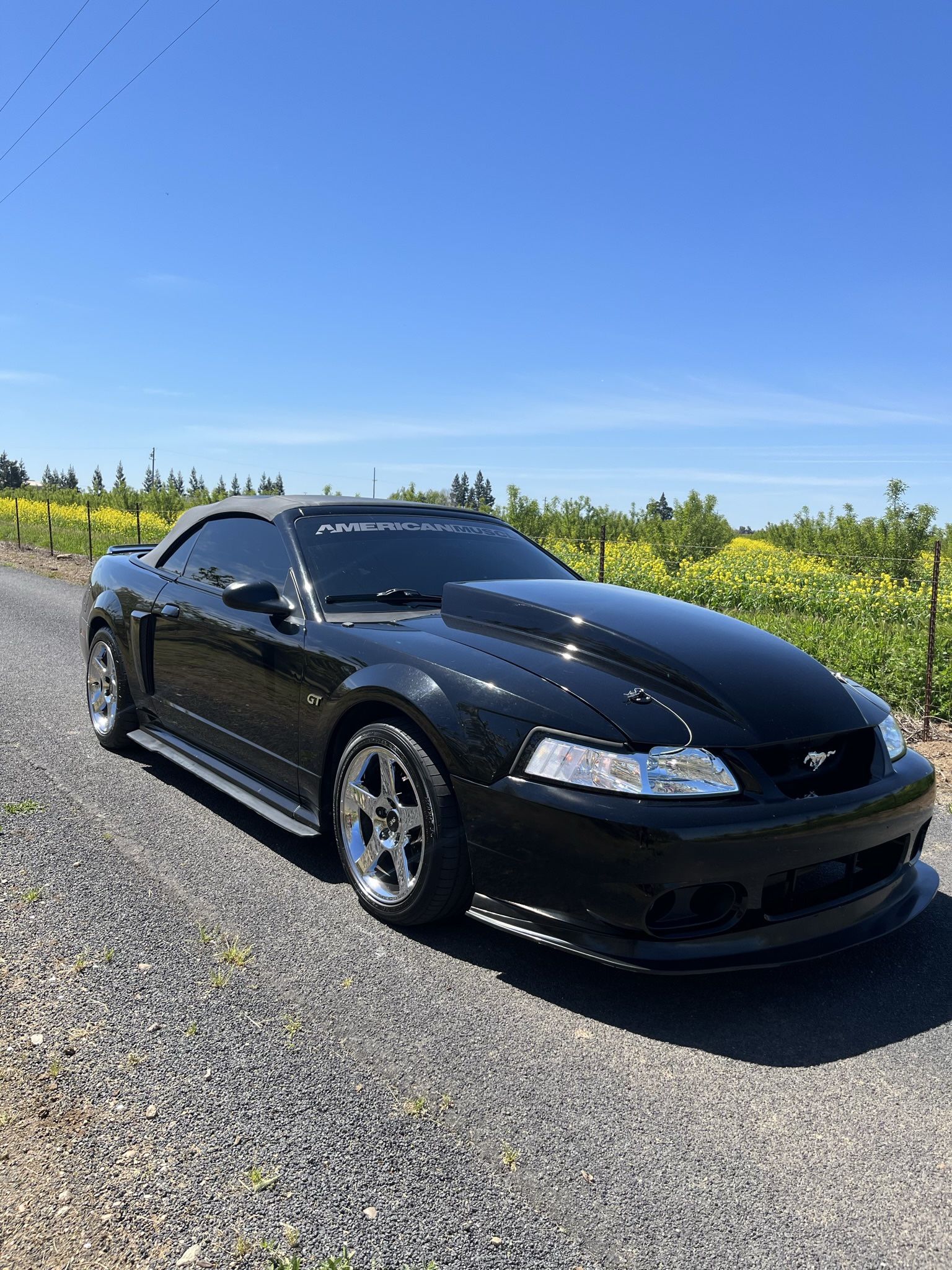 2000 Ford Mustang