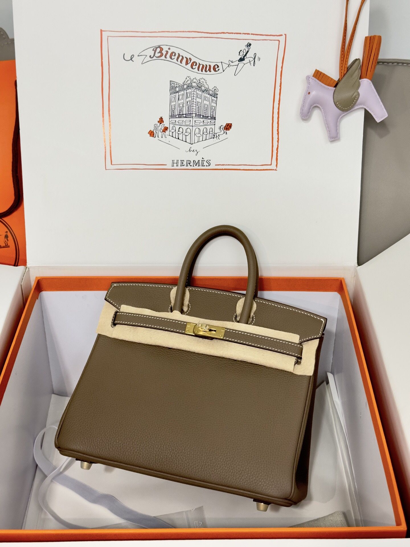 Fashionable Handbags 