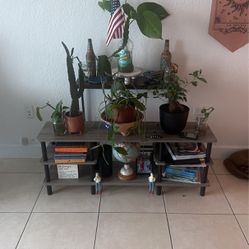 Stands / Plants 
