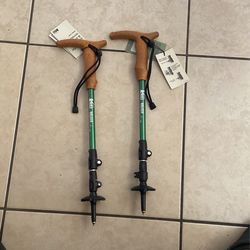 Walker Staff