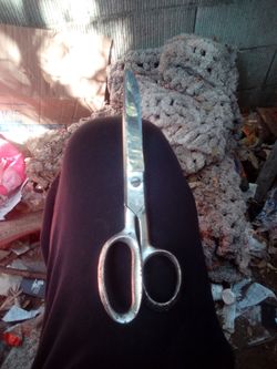 Shears