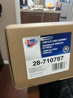 Front Shock And Strut