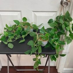 Three Small Hanging Artificial Plant $7 for All 
