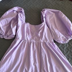 purple adult princess dress