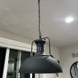 Large Pendant Light
