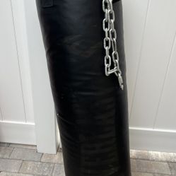 Everlast 50lb Super Leather Heavy Bag