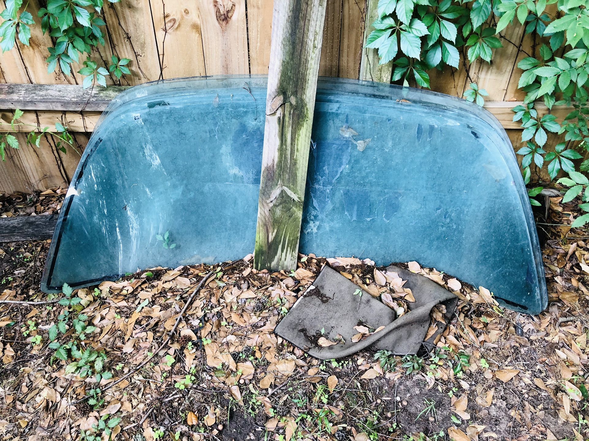 (5) Rear Back Windshield Windows 2nd Gen Camaro Pontiac Trans am Rear Glass