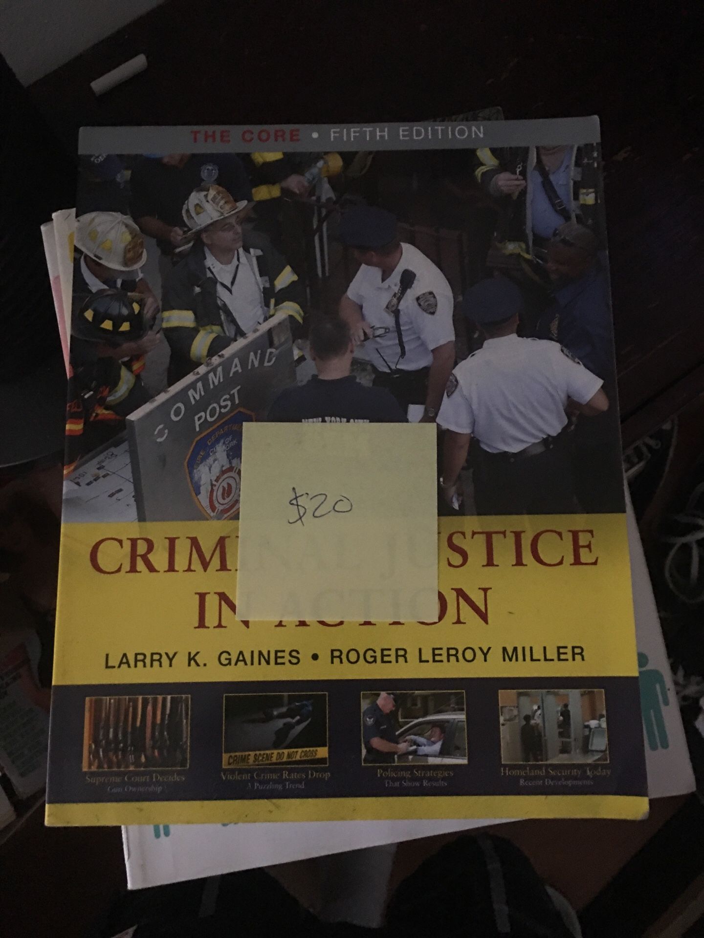 Criminal justice book