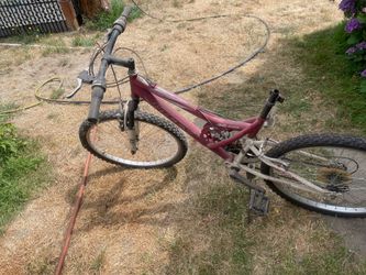 Free 24” bike