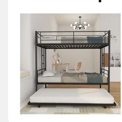 Bunk Bed Trundle