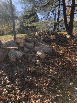 Firewood - Oak Logs