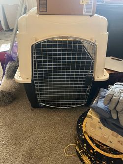 Large breed plastic dog crate