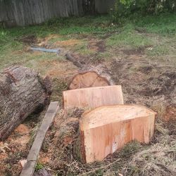 Firewood 