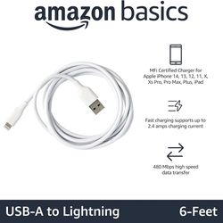 Amazon Basics USB-A to Lightning ABS Charger Cable
