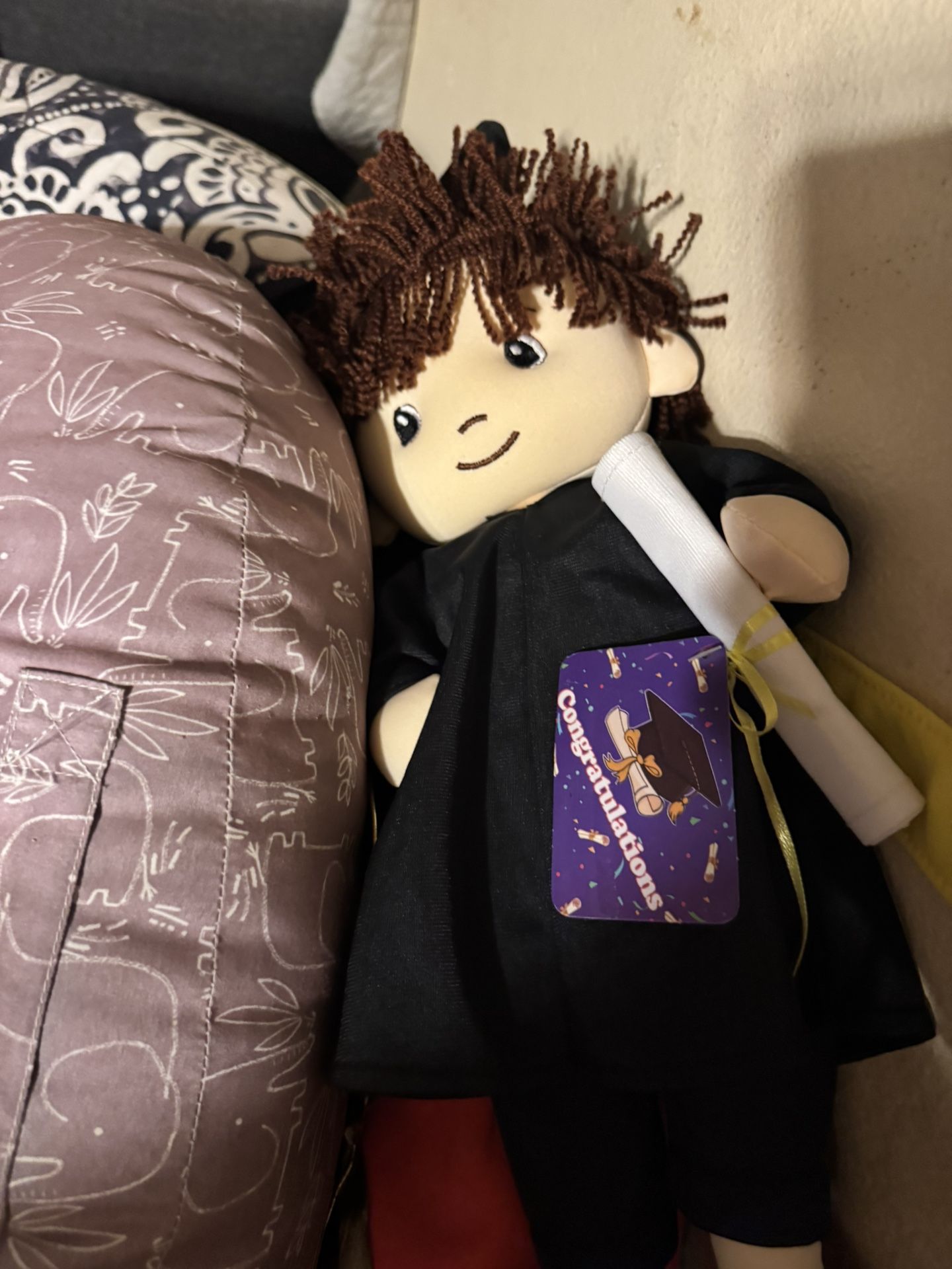 Boy /girl Graduation Doll