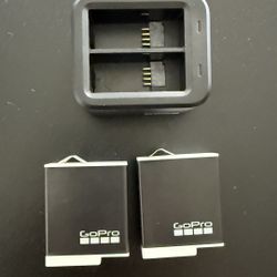 GoPro Enduro Rechargeable Li-Ion Batteries With Dual Battery Charger