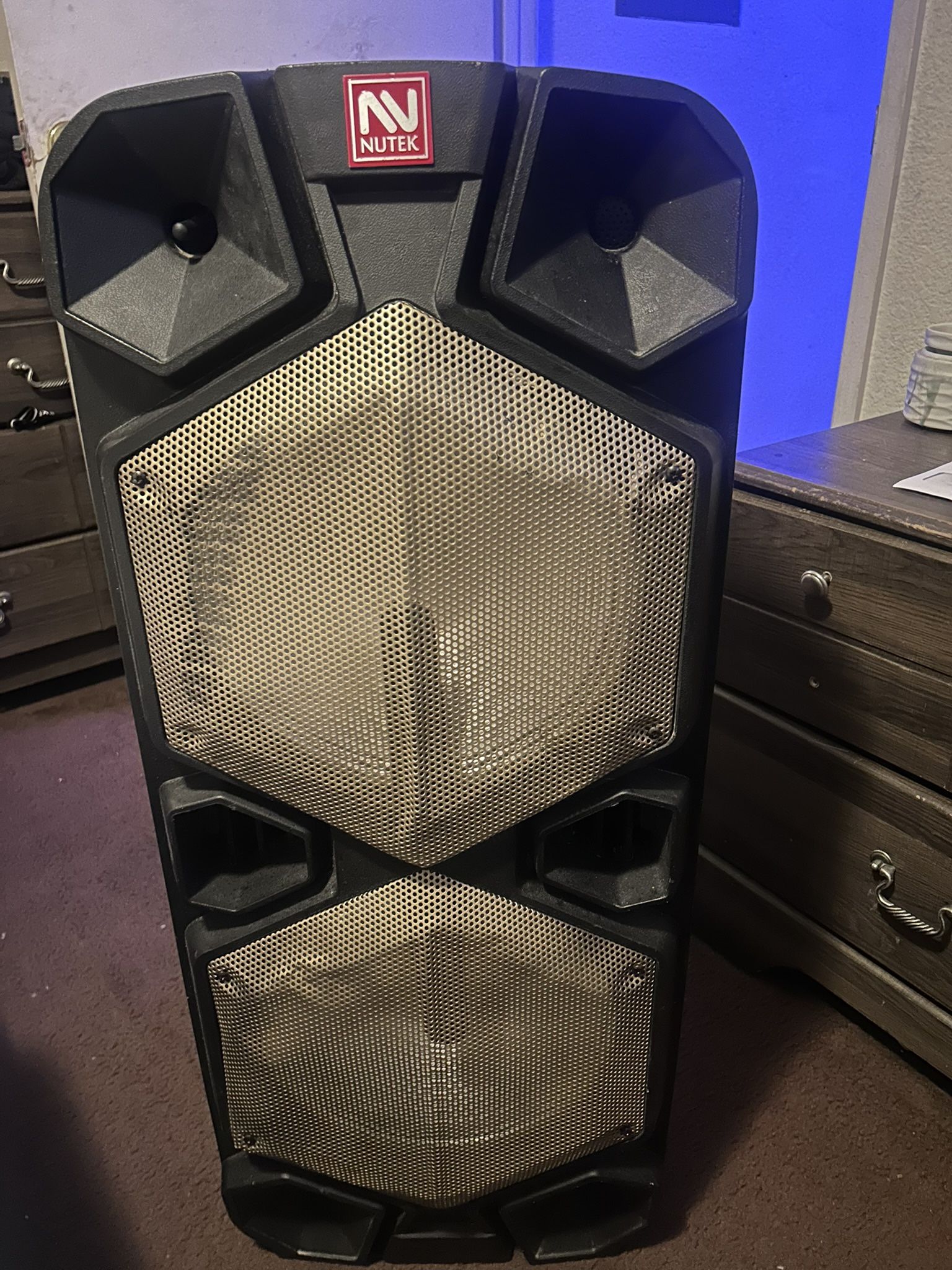 Big Bluetooth Speaker Bumps Hard!!!