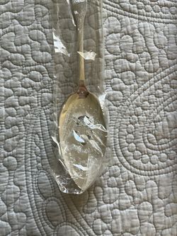 Commemorative Silver Dessert Server 