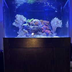 90 Gallon Acrylic Fish Tank