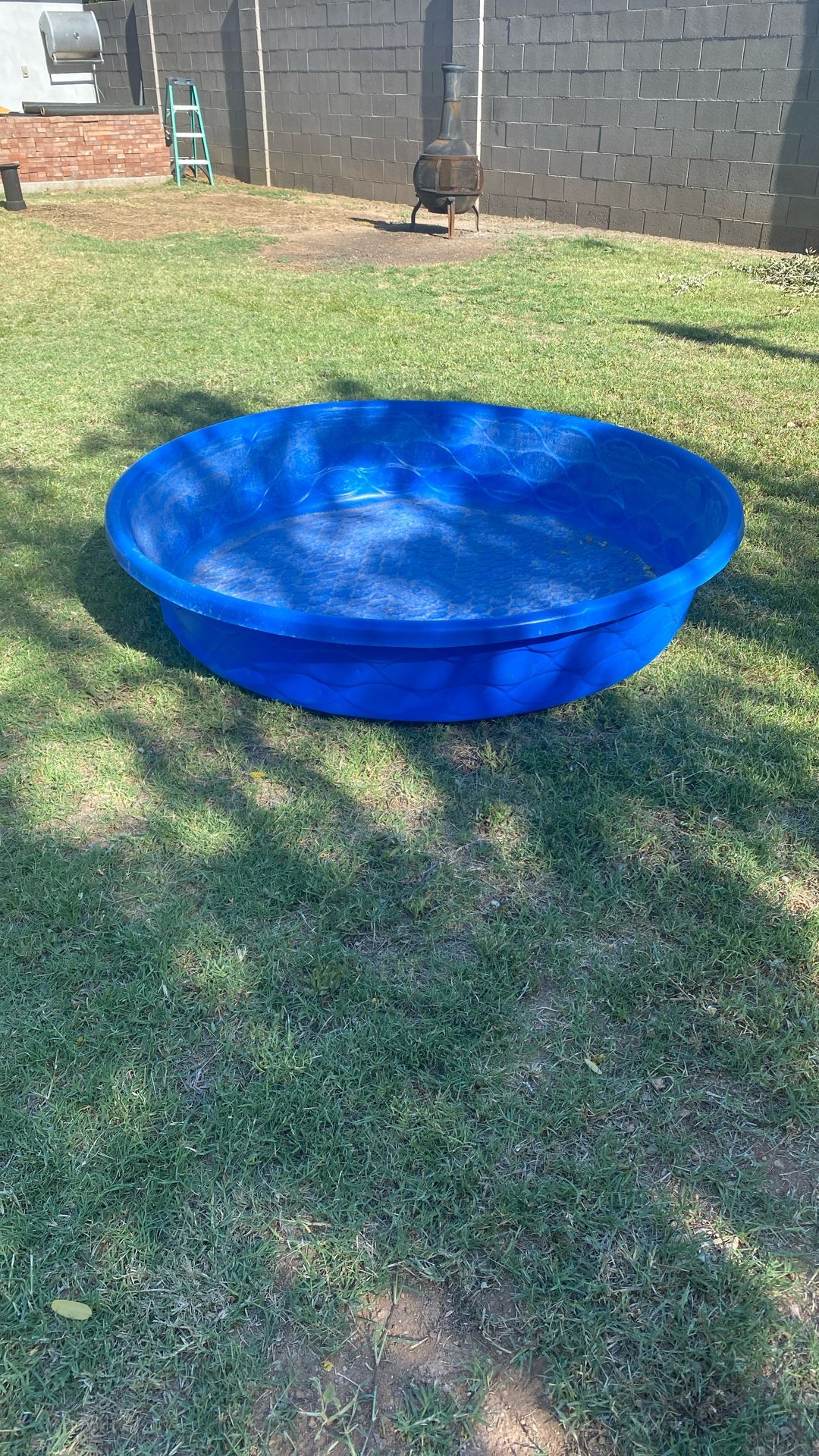 Dog or kitty pool
