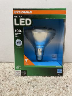 Sylvania Par38 5000k Glass Wet Location Flood Light