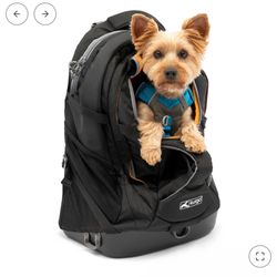 Kurgo G-train Dog Carrier Backpack (Black)