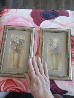 2 framed pictures 🖼