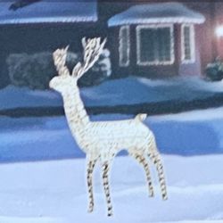 Christmas Indoor/Outdoor Buck And Doe  With Lights And Animated
