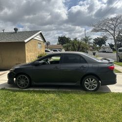2010 Toyota Corolla