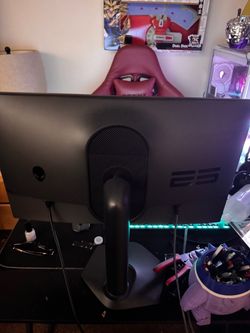 Alienware Gaming Monitor 500hz ips