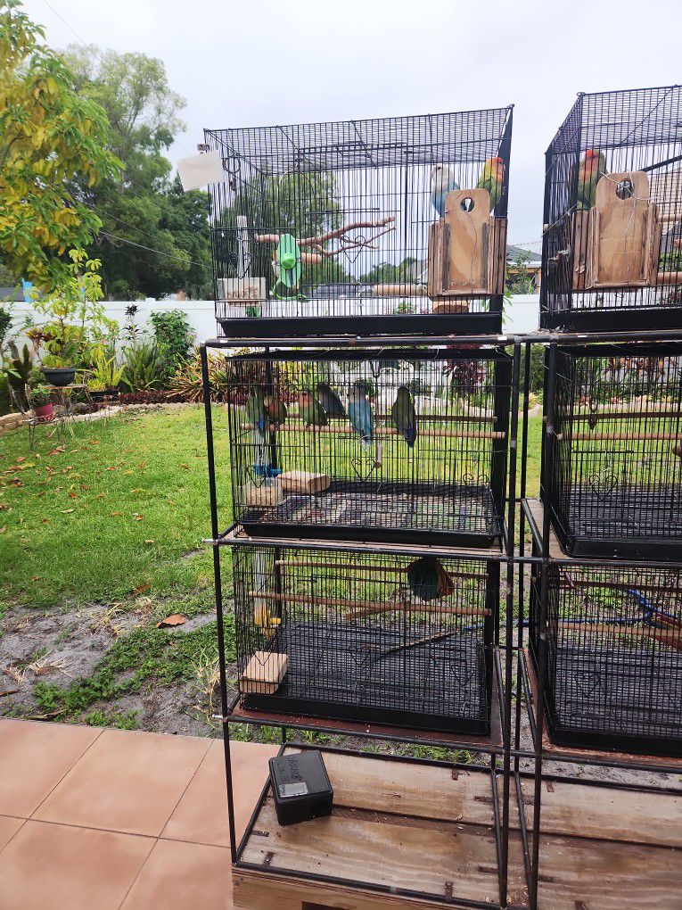 bird cages and more.